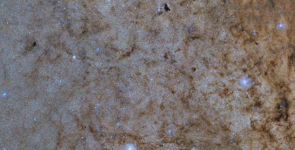 A dense field of stars and dark, dusty lanes toward the center of the Milky Way