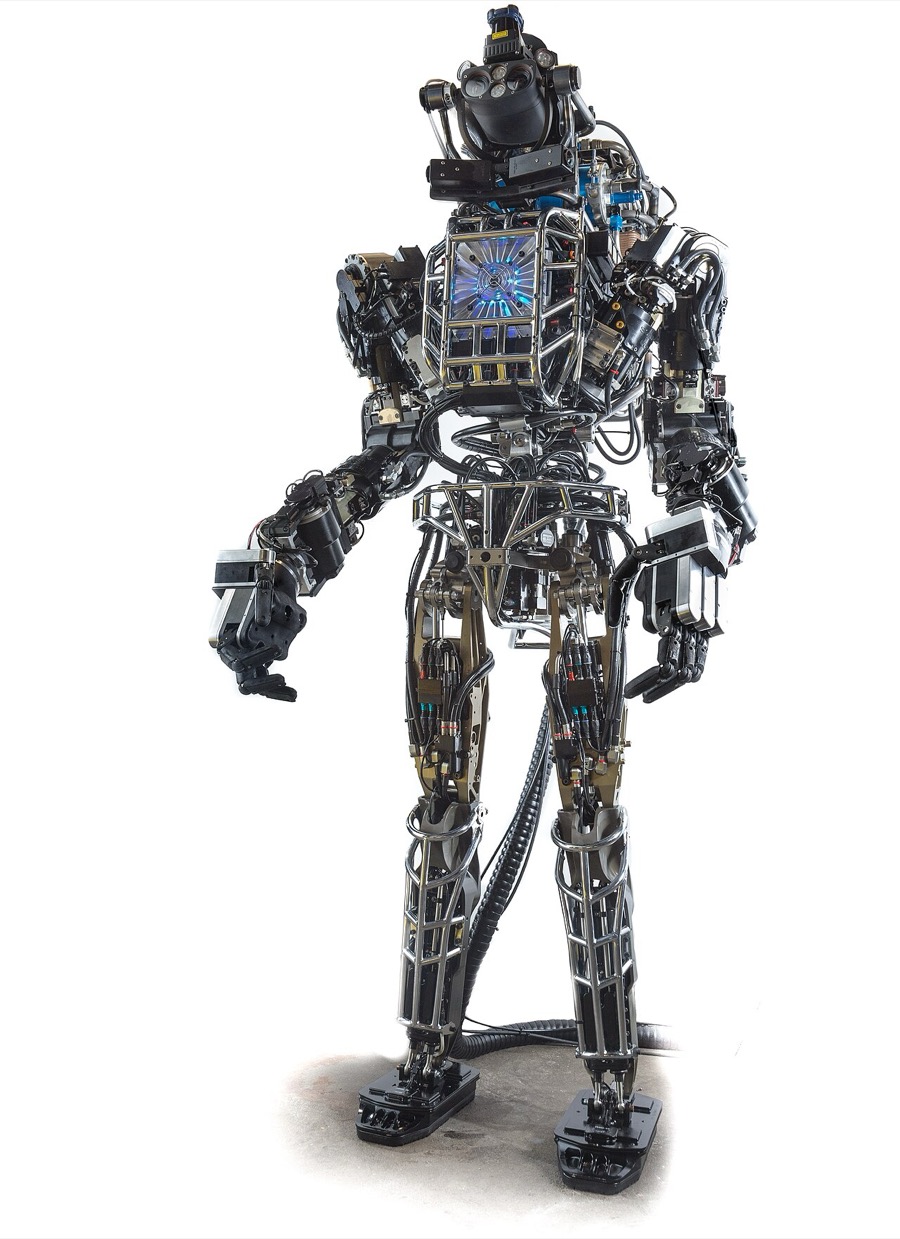 The Atlas humanoid robot built for DARPA, a tall robot with exposed hydraulic lines, metal frame and a sensor head, standing on a white background
