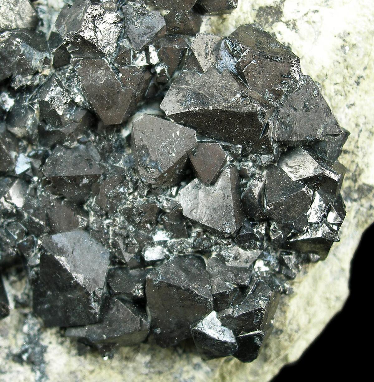 A metallic black magnetite crystal cluster with sharp octahedral faces