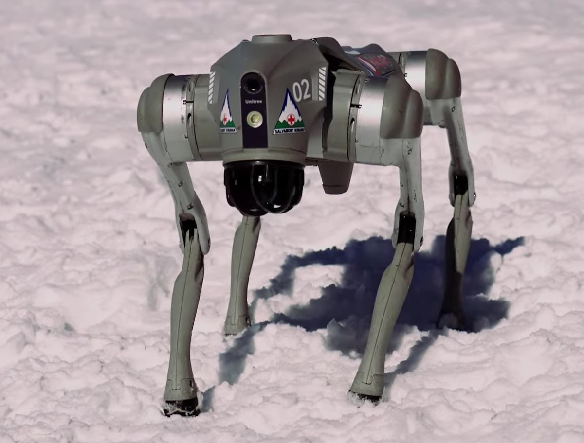 A gray Unitree Go2 quadruped robot with mountain rescue stickers standing in snow