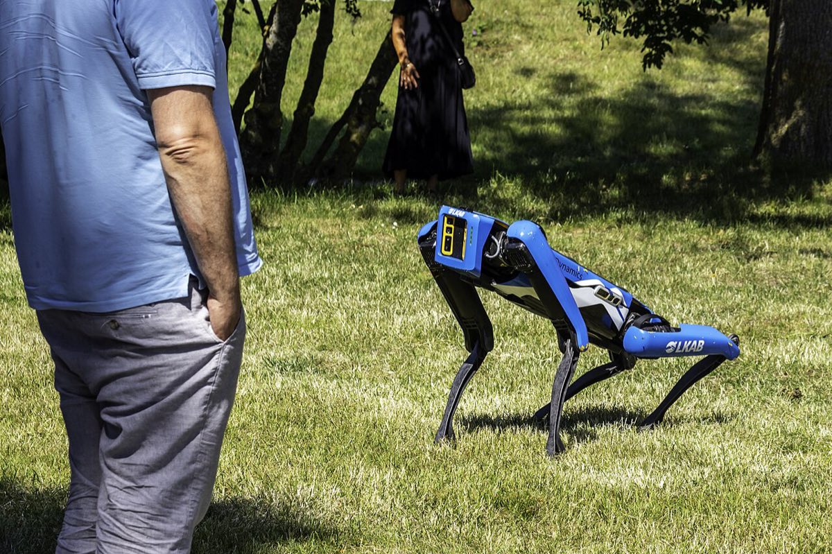 A blue and white Spot robot in the colors of the Swedish mining company LKAB, standing on grass next to a person
