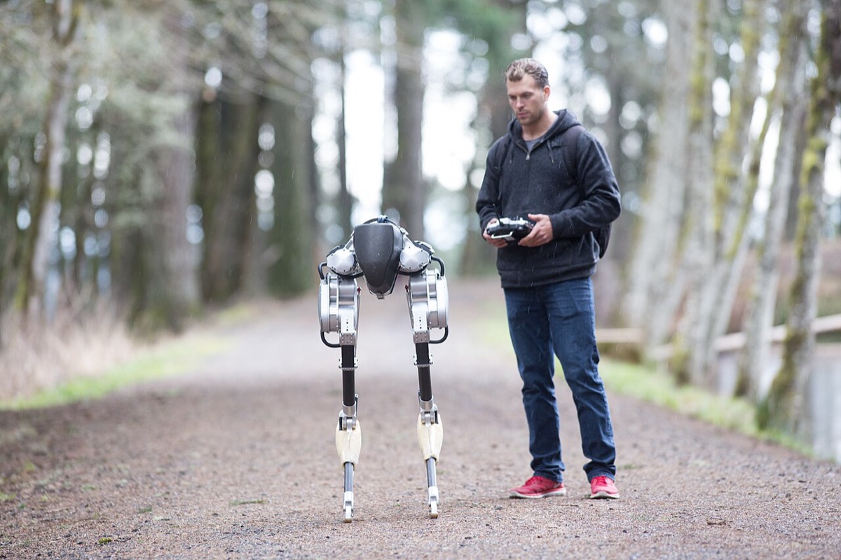 A two-legged robot with ostrich-like legs and no upper body stands on a forest path next to a man holding a remote control